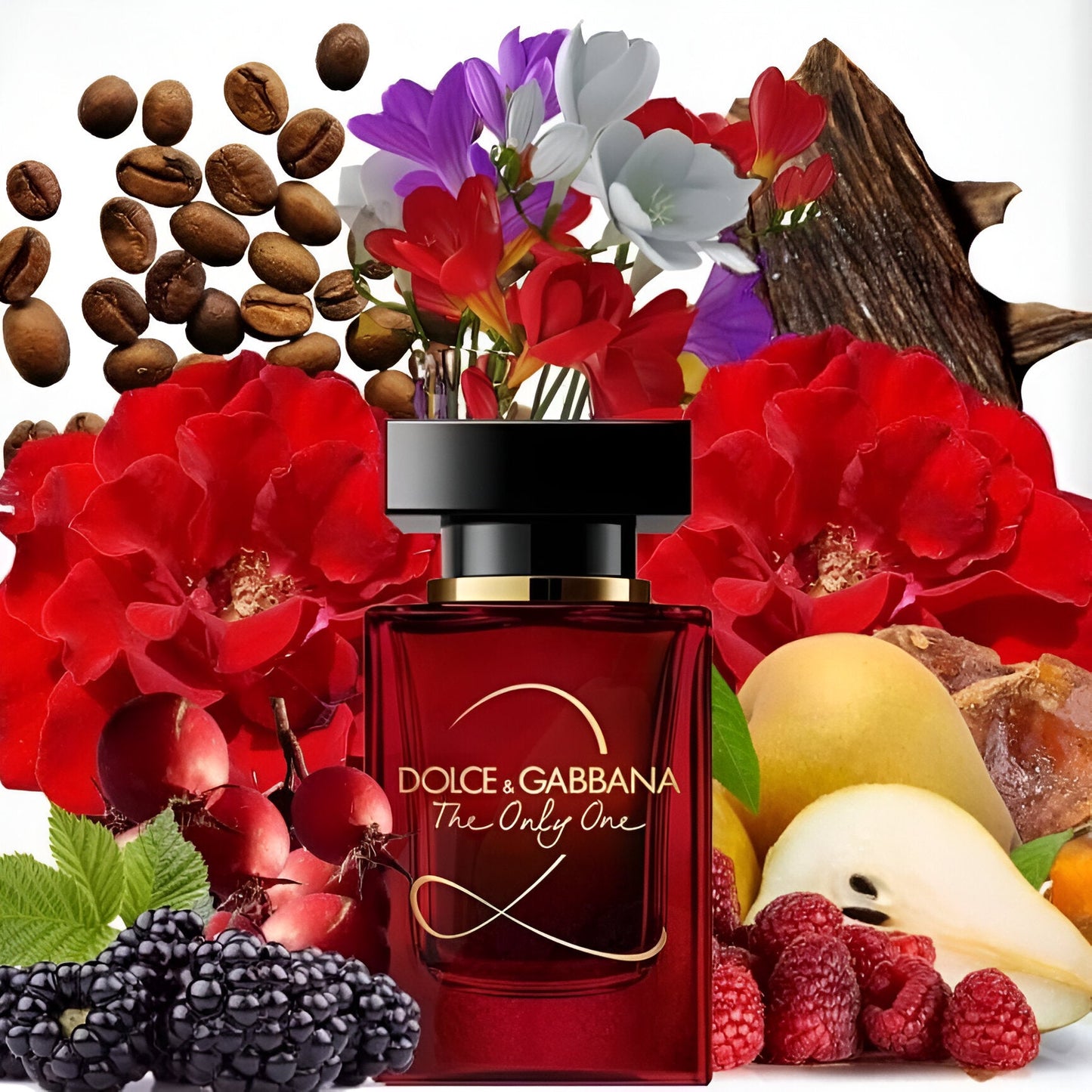 DOLCE & GABBANA THE ONLY ONE 2 EDP 100 ML For Her