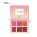 IMAGIC 6 COLOR TOUCH BLUSH PALETTE